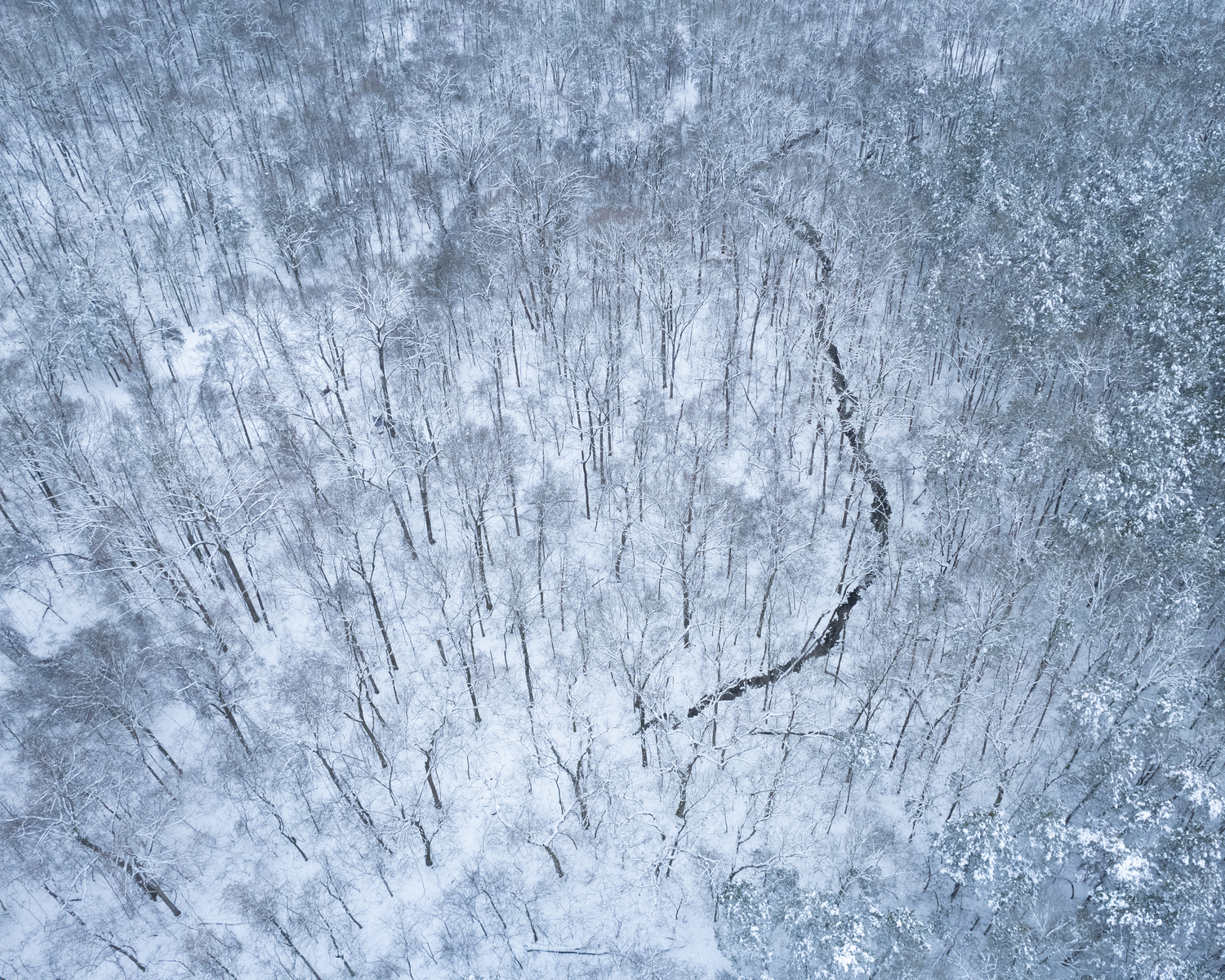 Drone shot of a stream through snowy woods